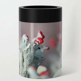 Cladonia Cup Lichen  Can Cooler
