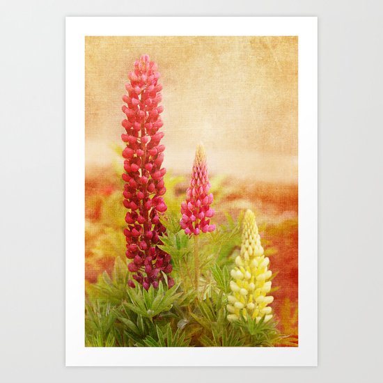 Lupin Art Print