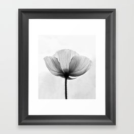 XRAY FLOWER [transparent black white poppy petals] Framed Art Print