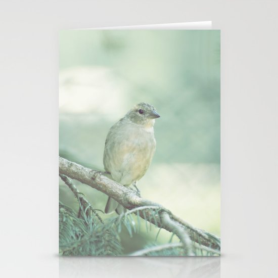 Bird Stationery Cards