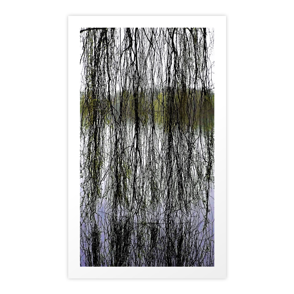 View Through The Willow Art Print by ruthmasonphotography