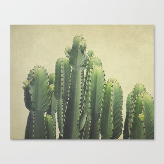 Cactus Canvas Print