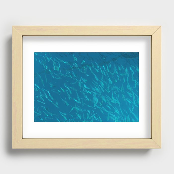 School of fish in the blue Recessed Framed Print