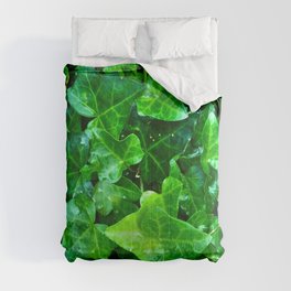 Ivy Comforter