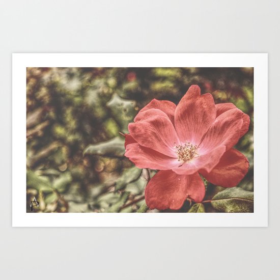 Ever So Inviting Art Print