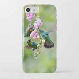 Three Costa Rican Hummingbirds in the Rain iPhone Case