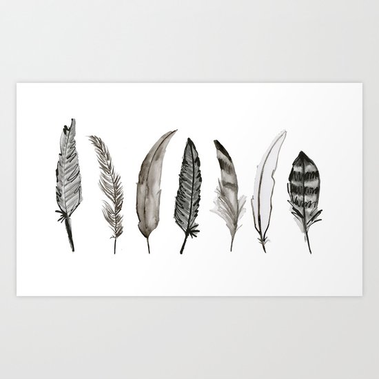 Feathers Art Print
