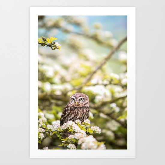 Wise Owl Art Print