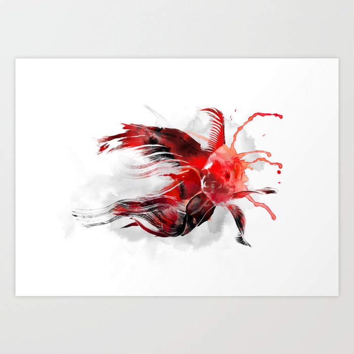 Discover the motif GOLDFISH by Robert Farkas as a print at TOPPOSTER