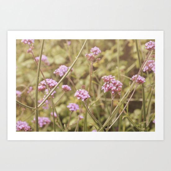 Summer Haze Art Print