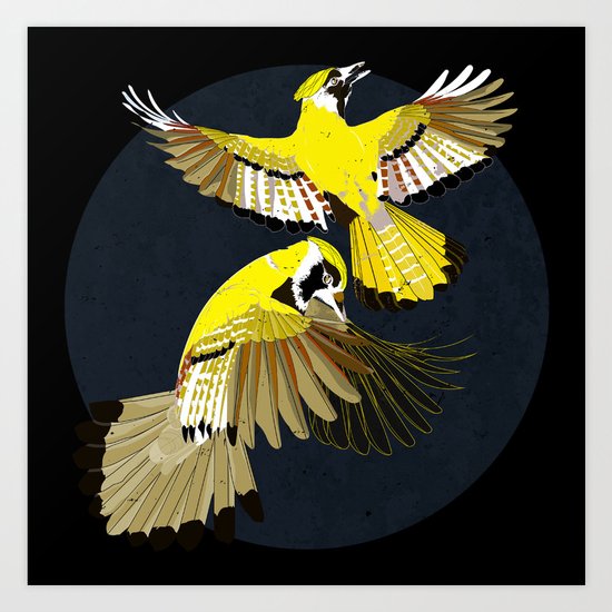 Blue Jays. Art Print