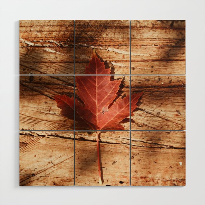 Autumn Leaf Wood Wall Art