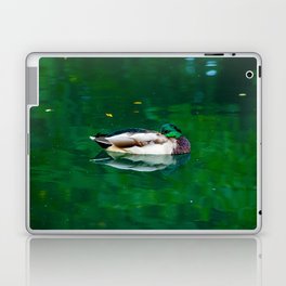 Beautiful elegant duck swimming in green lake water Laptop Skin