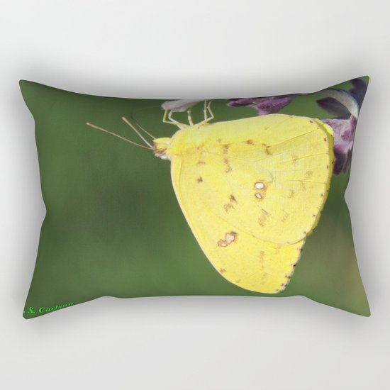 Orange Sulphur Butterfly Rectangular Pillow