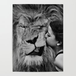 Grouchy Lion being kissed by brunette girl black and white photography Poster