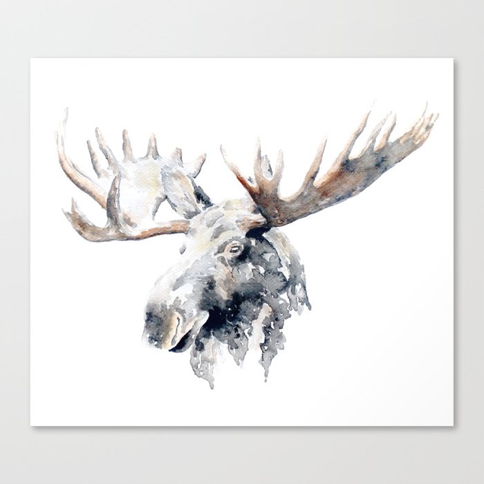 Moose Canvas Print