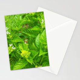 Bee on nature plants  Stationery Cards