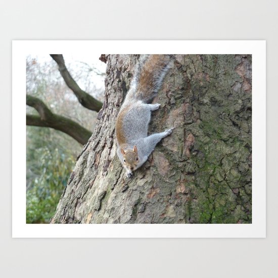 Squirrel Gymnastics Art Print