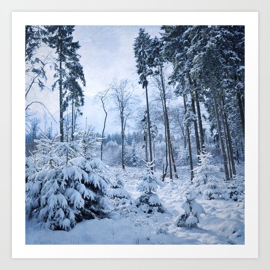 February Forest Art Print