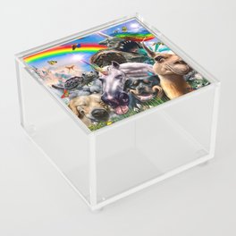 Rainbow Unicorn Animal Selfie Acrylic Box