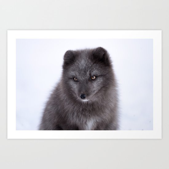 Black beauty #photography #society6 #art Art Print