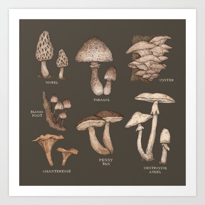 Art Print