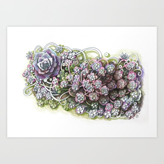 Stonecrop Art Print