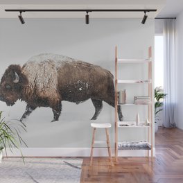 Bison Wall Mural