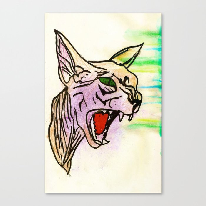 sphynx cat Canvas Print