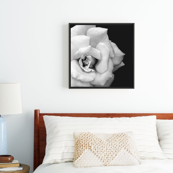 Rose Monochrome Framed Canvas - Beautiful black and white flowers