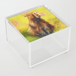 Capybara Acrylic Box