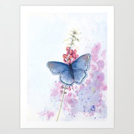 Butterfly blue Art Print
