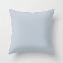 Supersonic Silver Gray Throw Pillow