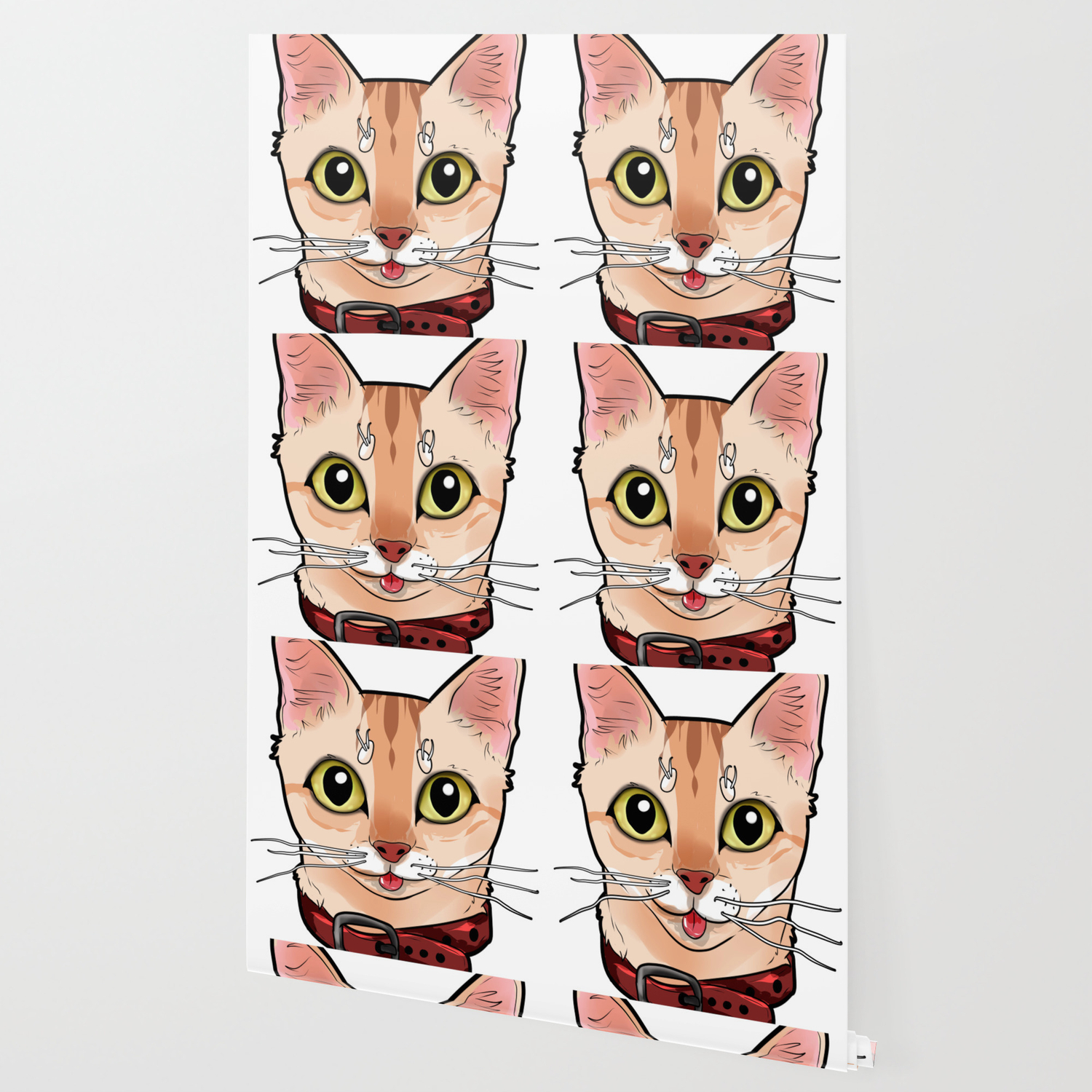 Singapura Cat Face Cats Kitty Funny Comic Cartoon Wallpaper By