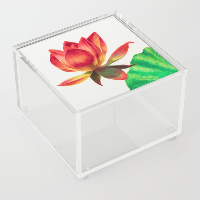 Another lotus Acrylic Box