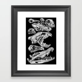 Carnivores Framed Art Print