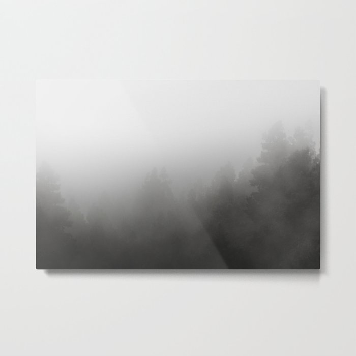 Trees In Fog Forest Landscape Black And White Metal Print By Ohaniki
