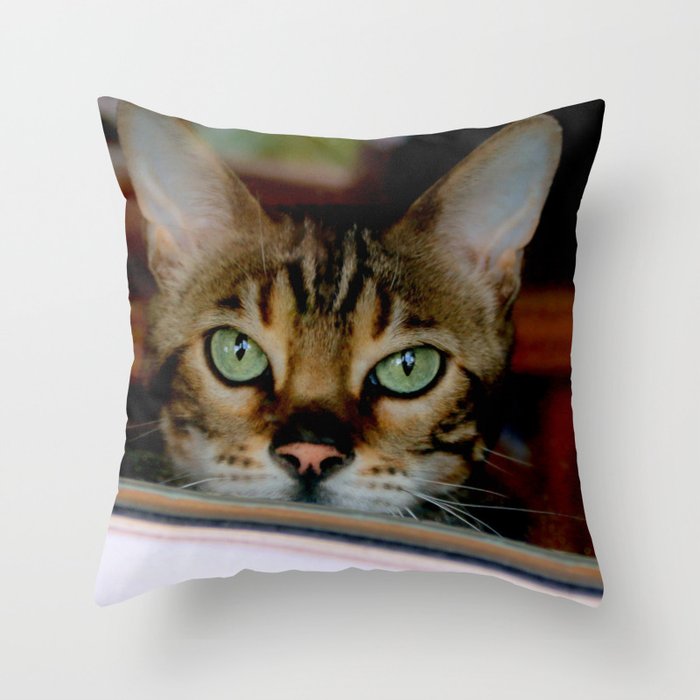 Just A Bit Nose-y Throw Pillow