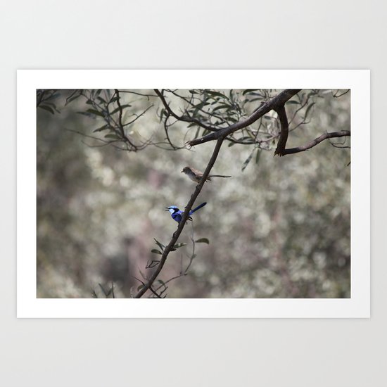 Blue Bird Art Print