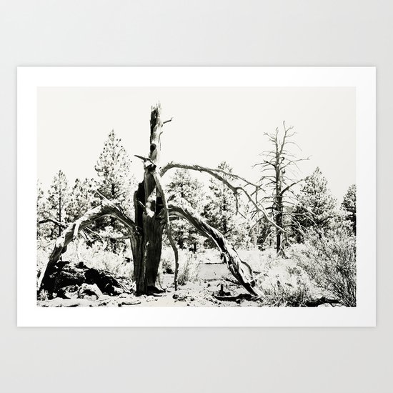 Volcanic Aftermath Art Print