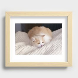 daydream cat Recessed Framed Print