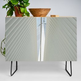 Architecture Views in the City | NYC Credenza