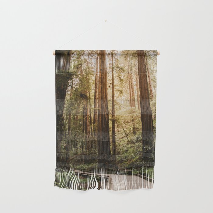 Muir Woods | California Redwoods Forest Nature Travel Photography Wall Hanging