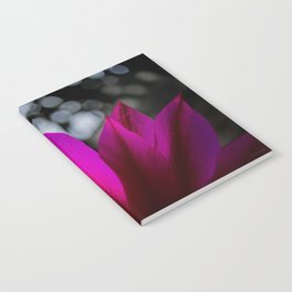 Pitaya Flower Notebook