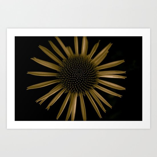 a flower in the dark number two Art Print