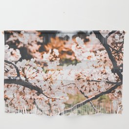 Cherry Blossom in Central Park New York1 Wall Hanging