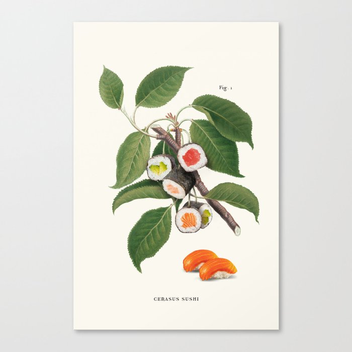 Sushi Plant Canvas Print