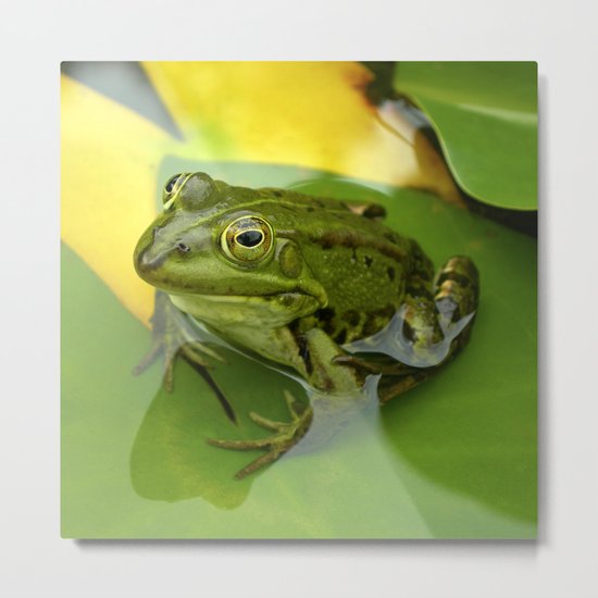 kiss me II Metal Print