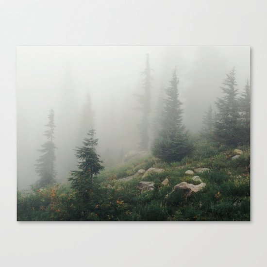 Mt Hood National Forest Canvas Print