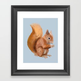 Red Squirrel Framed Art Print
